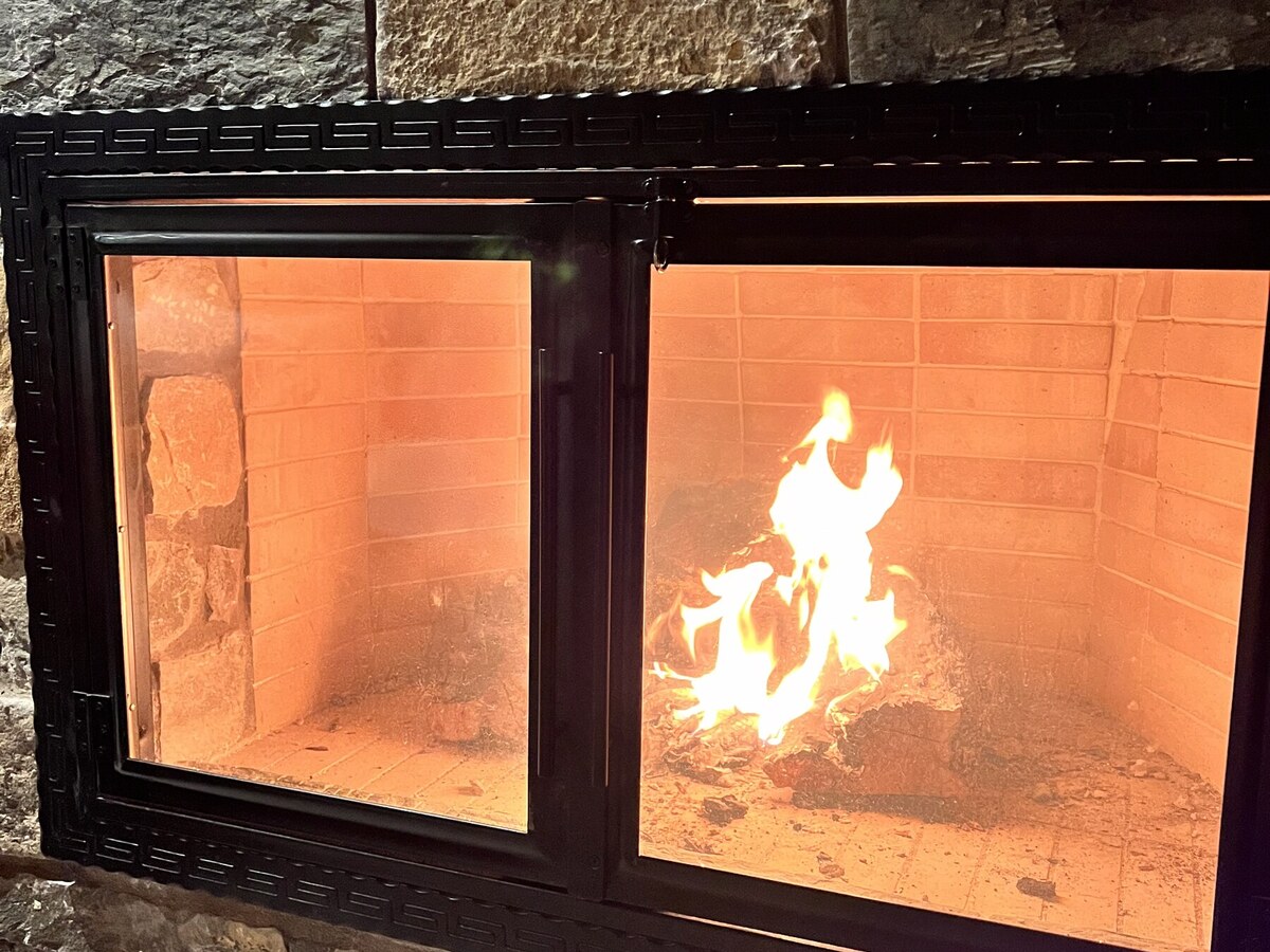 Wood-burning fireplace close-up — twin glass doors, dancing flames